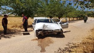Hayvanlara çarpmamak için kaza yaptı