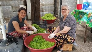 KORUK ŞERBETİNE BÜYÜK İLGİ