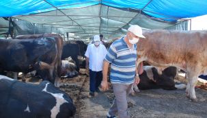 KURBAN BAYRAMI ÖNCESİ HAREKETLİLİK