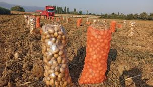 ÖDEMİŞ ÜRETİME DEVAM EDİYOR