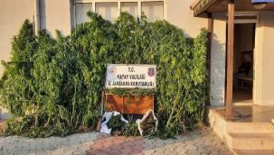 12 kilo 526 gram esrar ele geçirildi