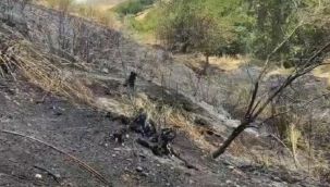 Adıyaman'da çıkan yangında hayvanlar telef oldu