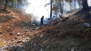 Akseki'de halk yangın bölgesine koştu