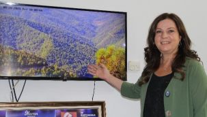 BALÇOVA ORMANLARI ANBEAN İZLENİYOR