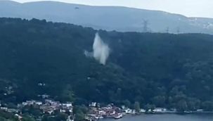 Beykoz'da ormanlık alanda yangın çıktı