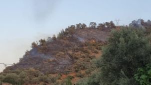 Bozdoğan yangını kontrol altına alındı