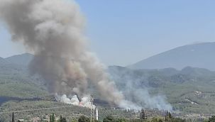 Hatay'da orman yangını çıktı