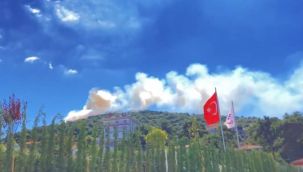 Heybeliada'da ormanlık alanda yangın çıktı