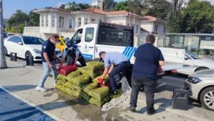 Kaçak midye operasyonu