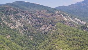 Kazdağları'nda soğutma çalışmalarına devam