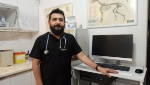 Kene yapışmasının önüne geçilebilir