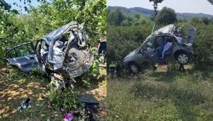 Kontrolden çıkan yabancı plakalı otomobil fındık bahçesine düştü