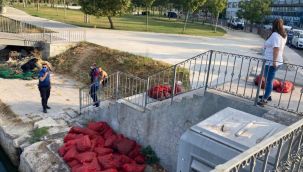 Menekşe Plajında kaçak midye avcılığı yapanlara operasyon