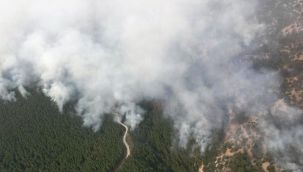 Muğla'da yangın söndürme çalışmaları devam ediyor