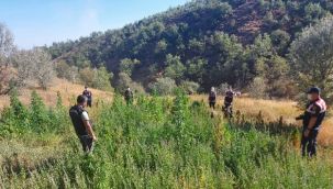 Ormanlık arazisini kenevir, ahırını kaçak içki imal etmek için kullandı