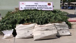 Osmaniye'de uyuşturucu operasyonu