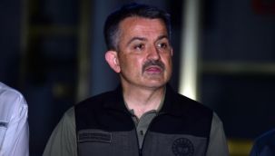 Tarım ve Orman Bakanı Pakdemirli, orman yangınlarına ilişkin son bilgileri paylaştı!