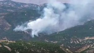 Tunceli'de orman yangınları devam ediyor