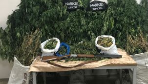 Tunceli'de uyuşturucu operasyonu yapıldı