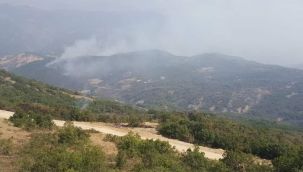 Tunceli'deki orman yangınlarında soğutma çalışmaları devam ediyor