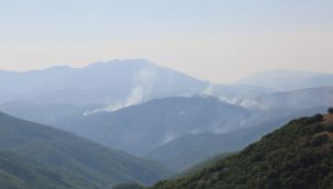 Tunceli'deki yangınına müdahale devam ediyor