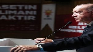 "BÜYÜK VE GÜÇLÜ TÜRKİYE SİLUETİ UFUKTA GÖZÜKMÜŞTÜR"