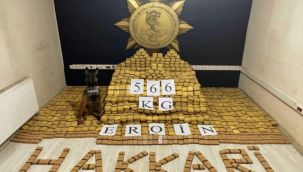 Hakkari'de uyuşturucu operasyonu