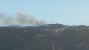 Hatay'da orman yangını