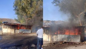 İskelede yangına vatandaşlardan yardım gecikmedi