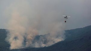 İspanya'nın güneyi 5 gündür cayır cayır yanıyor