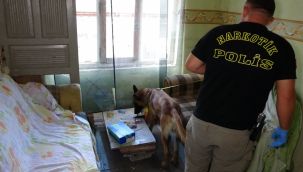 Narkotik köpeği metruk binadaki uyuşturucuyu böyle buldu