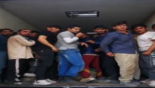 Van'da yurda yasadışı yollardan giren göçmenler yakalandı