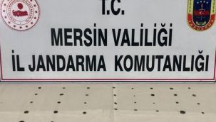Bizans ve Roma dönemine ait birçok tarihi eser ele geçirildi