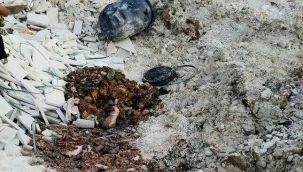 BOŞ ARAZİDE İNSAN VÜCÜDÜ PARÇALARI BULUNDU