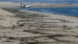 California kıyılarında petrol sızıntısı