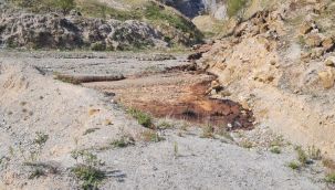 Göletten gelen kötü koku ekipleri harekete geçirdi