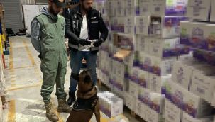 İstanbul'da kaçak nargile tütünü operasyonu