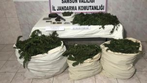 Jandarmadan zehir tacirlerine operasyon