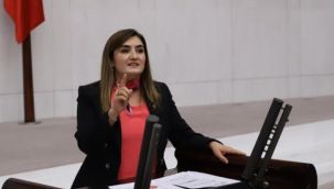 CHP'Lİ VEKİL KILIÇ'IN BASIN AÇIKLAMASI