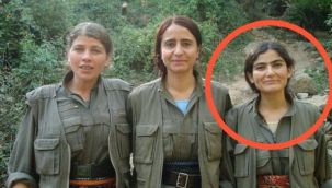 PKK'nın sözde yöneticisi Taybet Bilen öldürüldü
