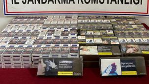 Terörün finans kaynaklarına yönelik operasyon