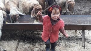 Aile ve Sosyal Hizmetler Bakanlığı'ndan Müslüme'nin ölümüne ilişkin açıklama