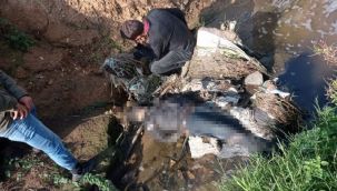 Kayıp olan yaşlı adamın cansız bedenine ulaşıldı