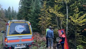 Kontrolden çıkan kamyonet ormanlık alana uçtu