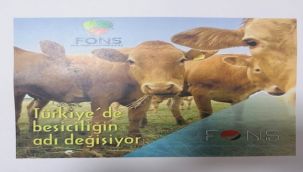 SAADET ZİNCİRİ OPERASYONUNDA FLAŞ GELİŞME