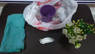 Saksıda uyuşturucu