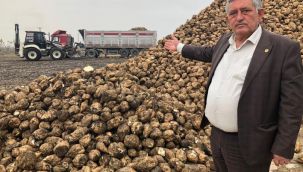 Türkiye'de şeker krizi yok, bolluğu var