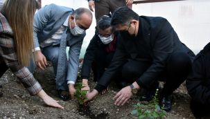 ALİAĞA'DA FİDAN DİKİM ETKİNLİĞİ