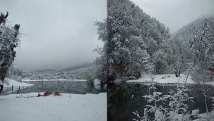 Bolu'da, yürüyüş yapan iki kişinin üzerine ağaç parçası düştü