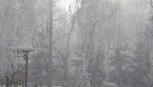 Göle'de hayat dondu, eksi 22,2 derece
